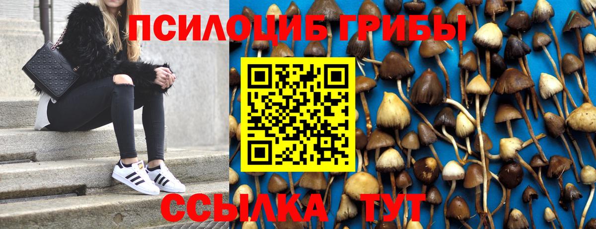 Псилоцибиновые грибы Magic Shrooms  Вход с VPN  Луховицы 